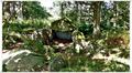 Binz_19_0056.jpg