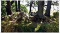 Binz_19_0076.jpg
