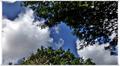 Binz_19_0091.jpg
