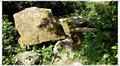 Binz_19_0096.jpg