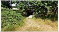 Binz_19_0121.jpg