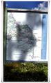 Binz_19_0156.jpg