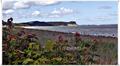 Binz_19_0261.jpg