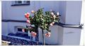 Binz_19_0316.jpg