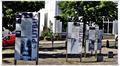 Binz_19_0381.jpg