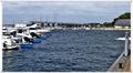 Binz_19_0481.jpg