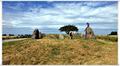 Binz_19_0511.jpg