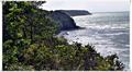 Binz_19_0601.jpg