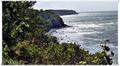 Binz_19_0606.jpg