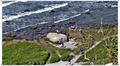 Binz_19_0611.jpg