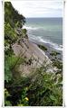 Binz_19_0651.jpg