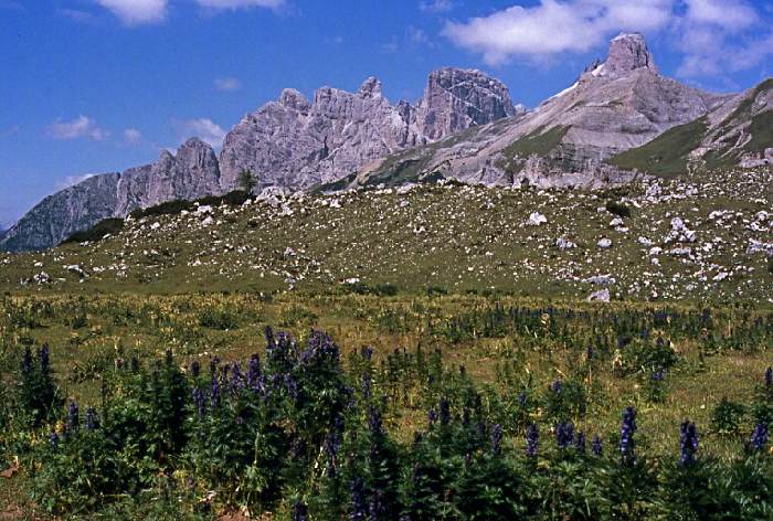 dolomiten_86_396.jpg