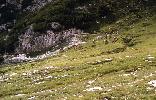 dolomiten_86_026.jpg