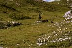 dolomiten_86_031.jpg