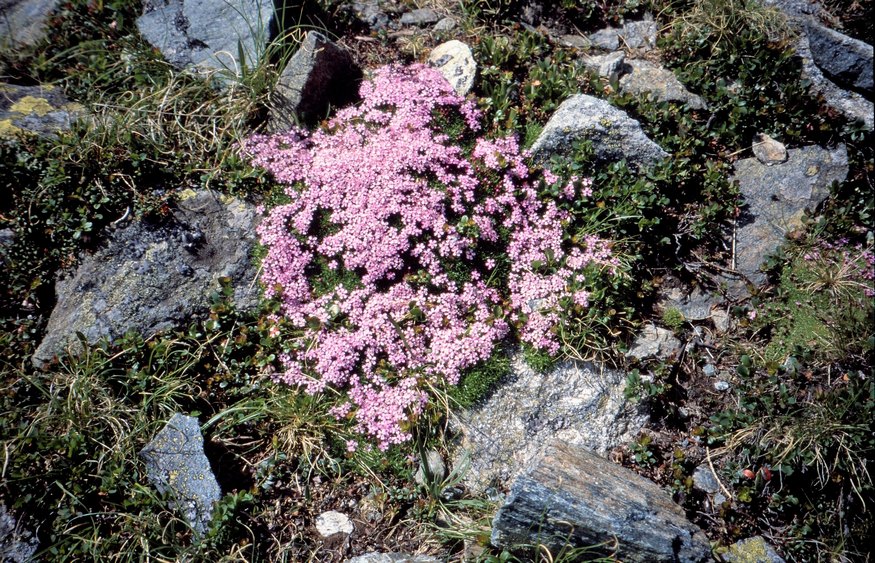 EHuette_96_0070.jpg