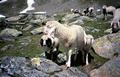 EHuette_96_0023.jpg