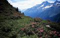 EHuette_96_0102.jpg