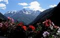EHuette_96_0117.jpg