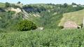 italien13_2203.jpg