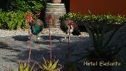 gr_italien_13-051.jpg