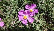 gr_italien_13_3041.jpg