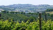 gr_italien_13_3196.jpg