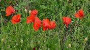 gr_italien_13_3331.jpg