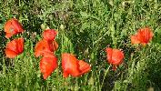gr_italien_13_3346.jpg