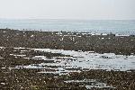 gr-normandie06_087.jpg