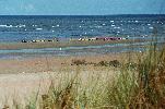 gr-normandie06_153.jpg