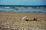 gr-normandie06_187.jpg