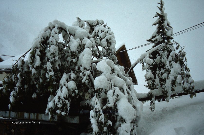 1-Schnee_80_00031.jpg