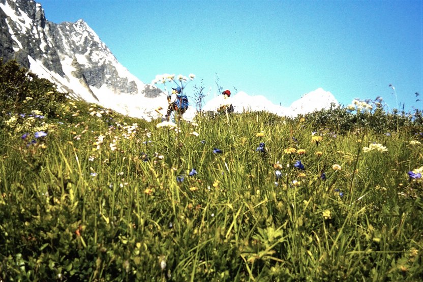 4-Kaunergrat_80_00026.jpg