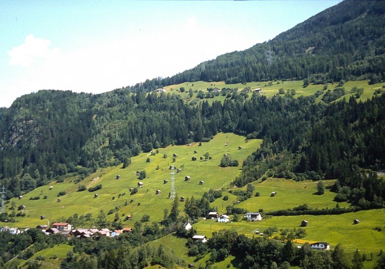 5-Hochzeiger_80_00021.JPG