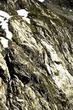 3-Cottbusser_80_00111.jpg