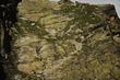 3-Cottbusser_80_00116.jpg