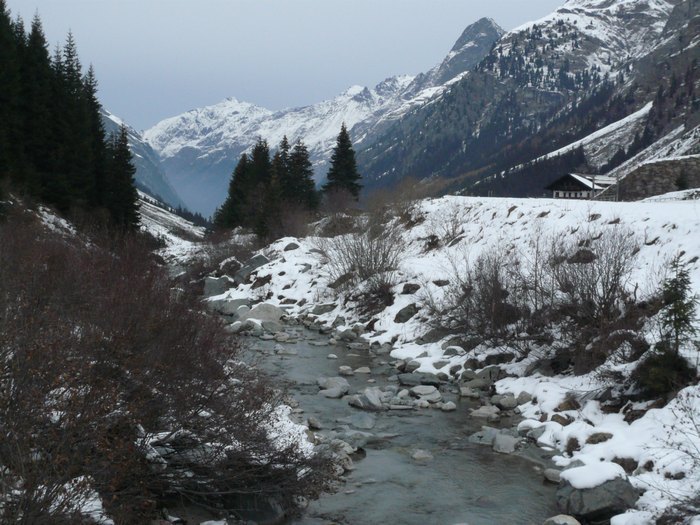 Pitz_09_0246.jpg