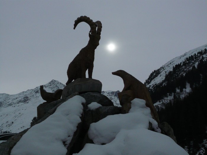 Pitz_09_0251.jpg