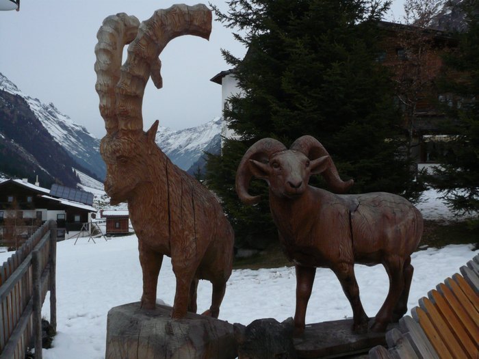 Pitz_09_0496.jpg