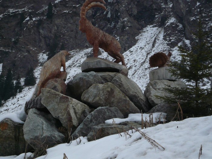 Pitz_09_0511.jpg