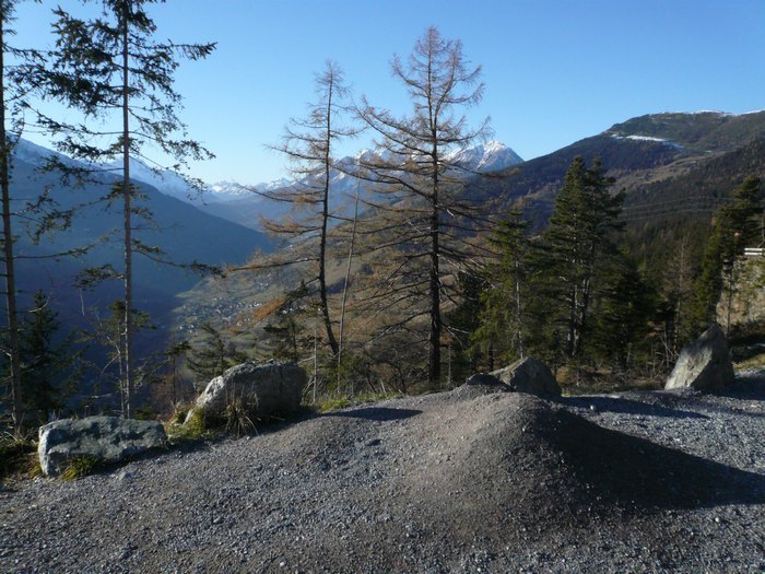 pitz_09_0201.jpg