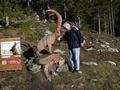 Pitz_09_0151.jpg