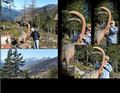 Pitz_09_0156.jpg