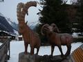 Pitz_09_0496.jpg