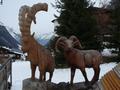 Pitz_09_0501.jpg