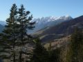 pitz_09_0184.jpg