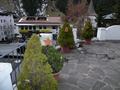 pitz_09_0311.jpg