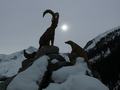 pitz_09_0701.jpg