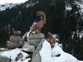 pitz_09_0711.jpg