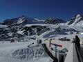 pitz_09_0981.jpg